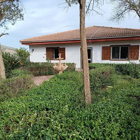 Σπίτι διακοπών Venta Del Aire Cortijo Terron Lanjarón